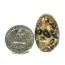 Stromatolite - Tumble