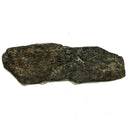 霸王龙骨头 - 化石