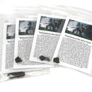 霸王龙骨头 - 化石