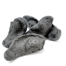 鯨魚耳骨 - 化石