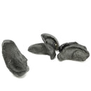 鯨魚耳骨 - 化石