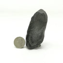 鯨魚耳骨 - 化石