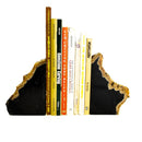 Petrified Wood Bookends - Fossil