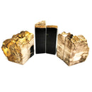 Petrified Wood Bookends - Fossil