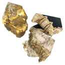 Petrified Wood Bookends - Fossil