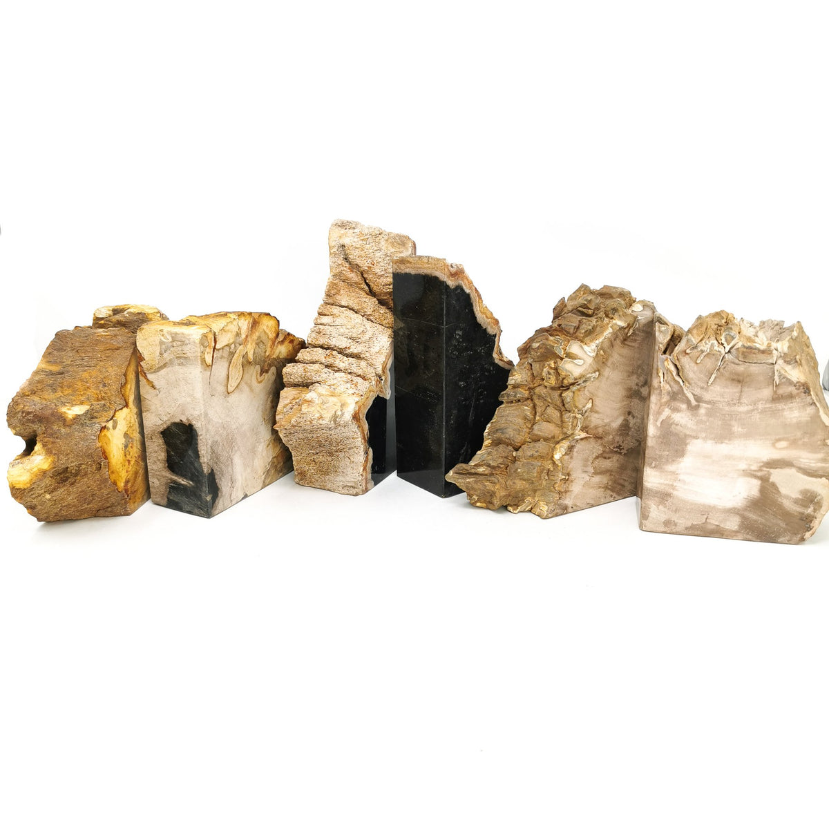 Petrified Wood Bookends fossil from Indonesia.