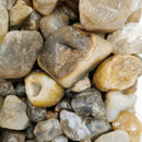 Fraser River Agate - Rough