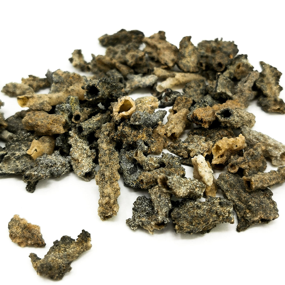 Mini Fulgurite (Lightning Strike) specimen from Sahara Desert, Southern Morocco.