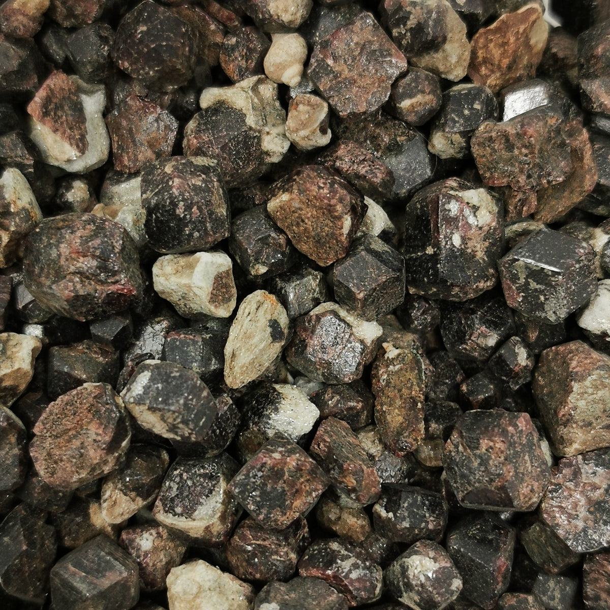 Garnet specimen, a garnet group mineral, from the Prince Rupert area, British Columbia, Canada.
