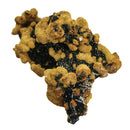 Romanechite on Goethite - Mineral