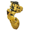 Romanechite on Goethite - Mineral