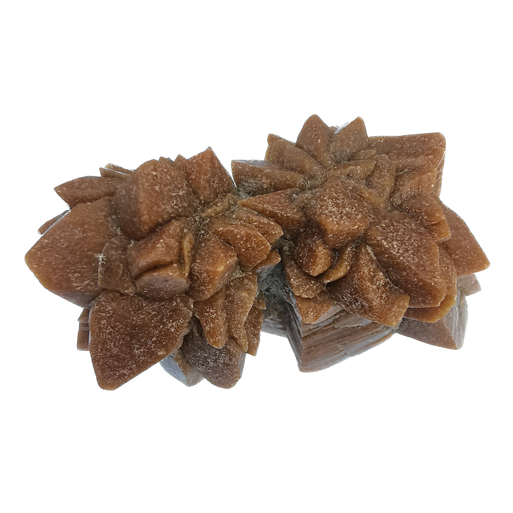 Glendonite specimen from Olenitsa River, White Sea Coast, Kola Peninsula, Russia.