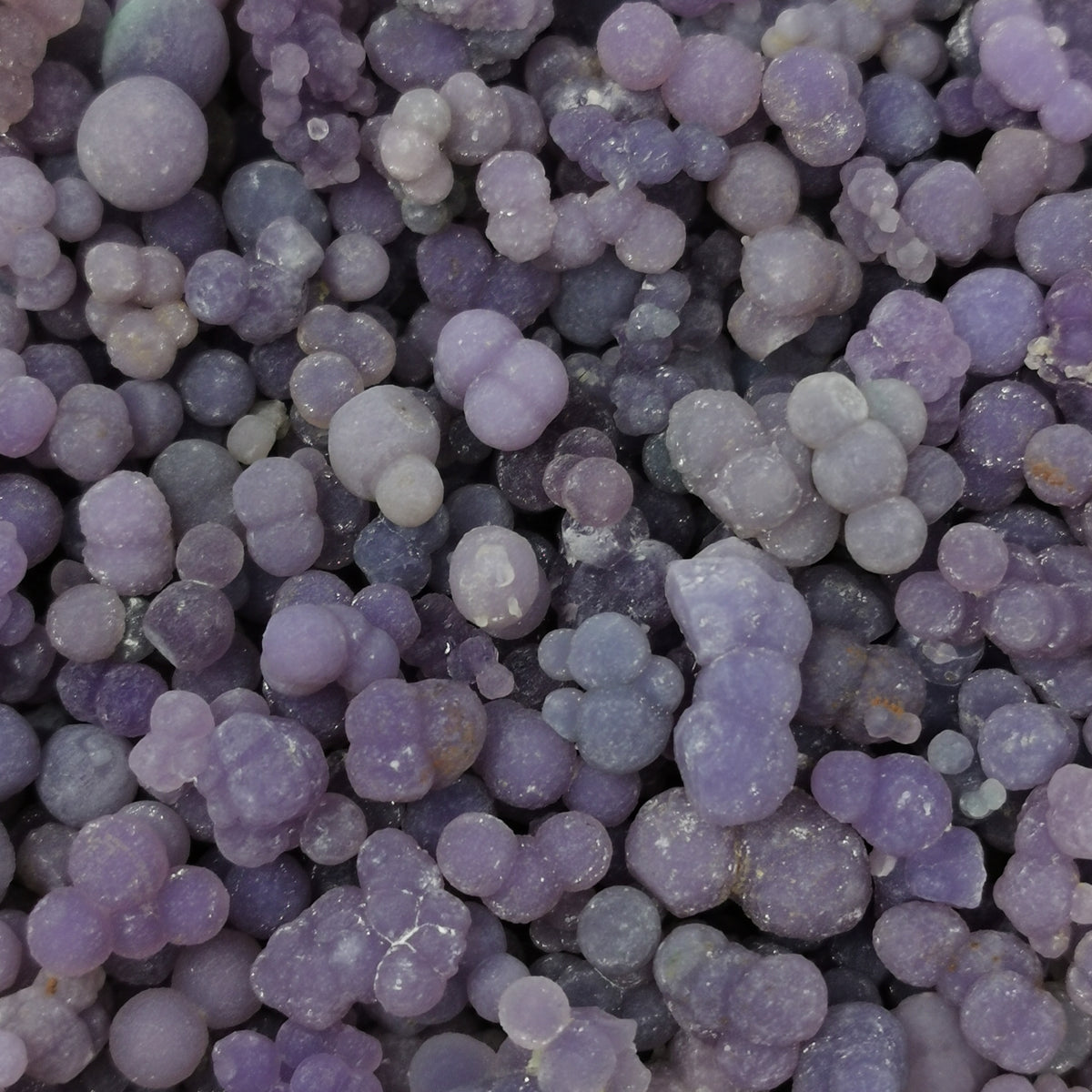 Grape Agate Floater specimen, a variety of chalcedony.