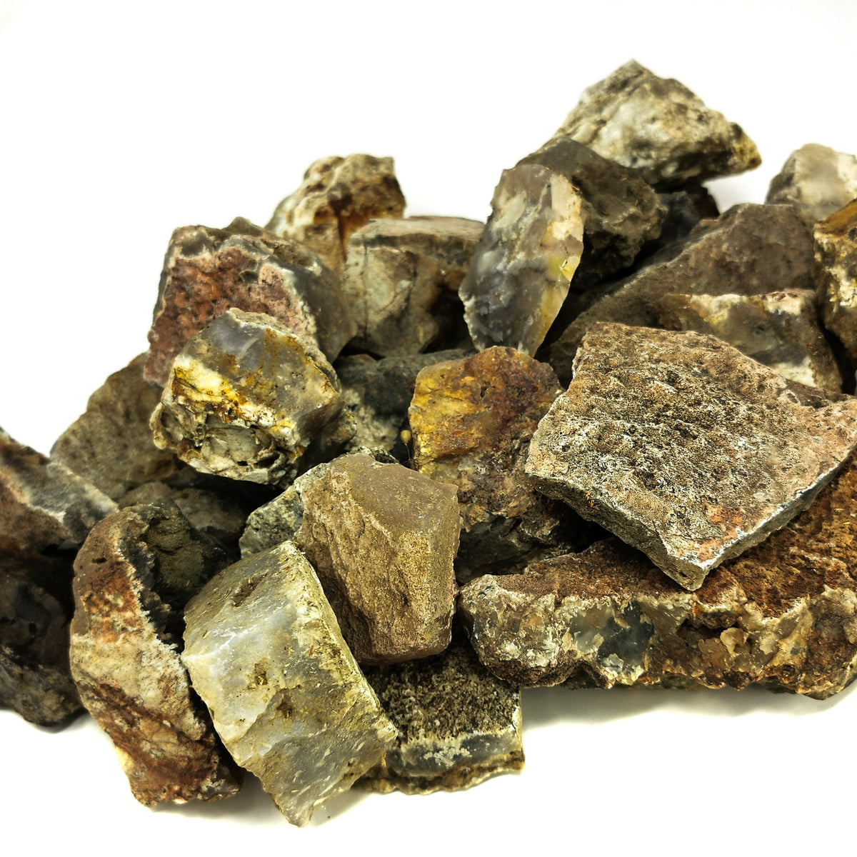 Graveyard Point Plume Agate rough, a variety of chalcedony.