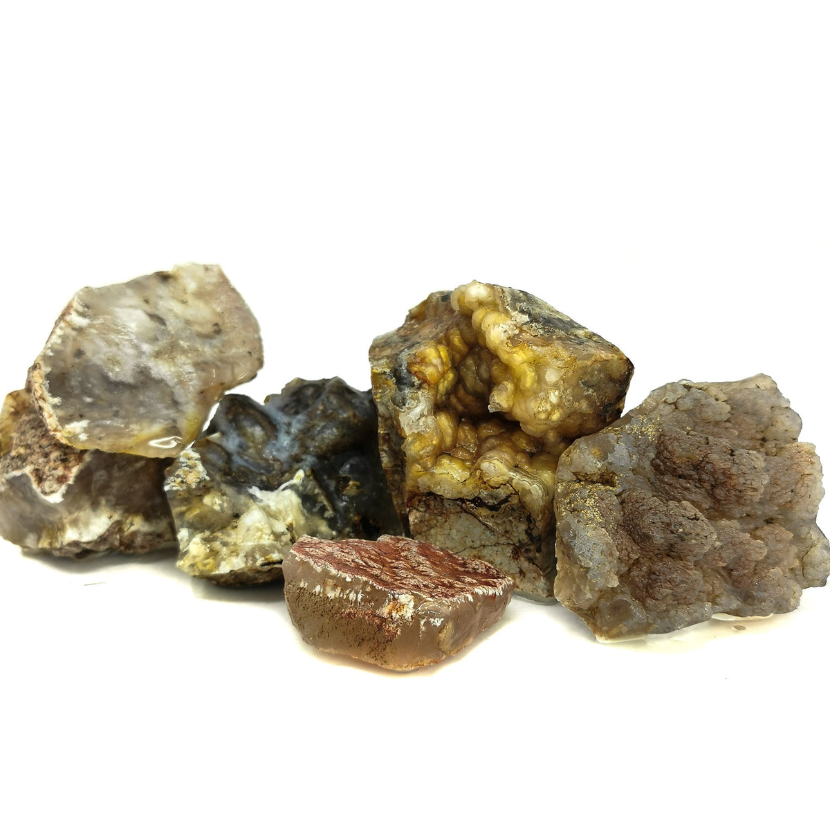 Graveyard Point Plume Agate rough, a variety of chalcedony.