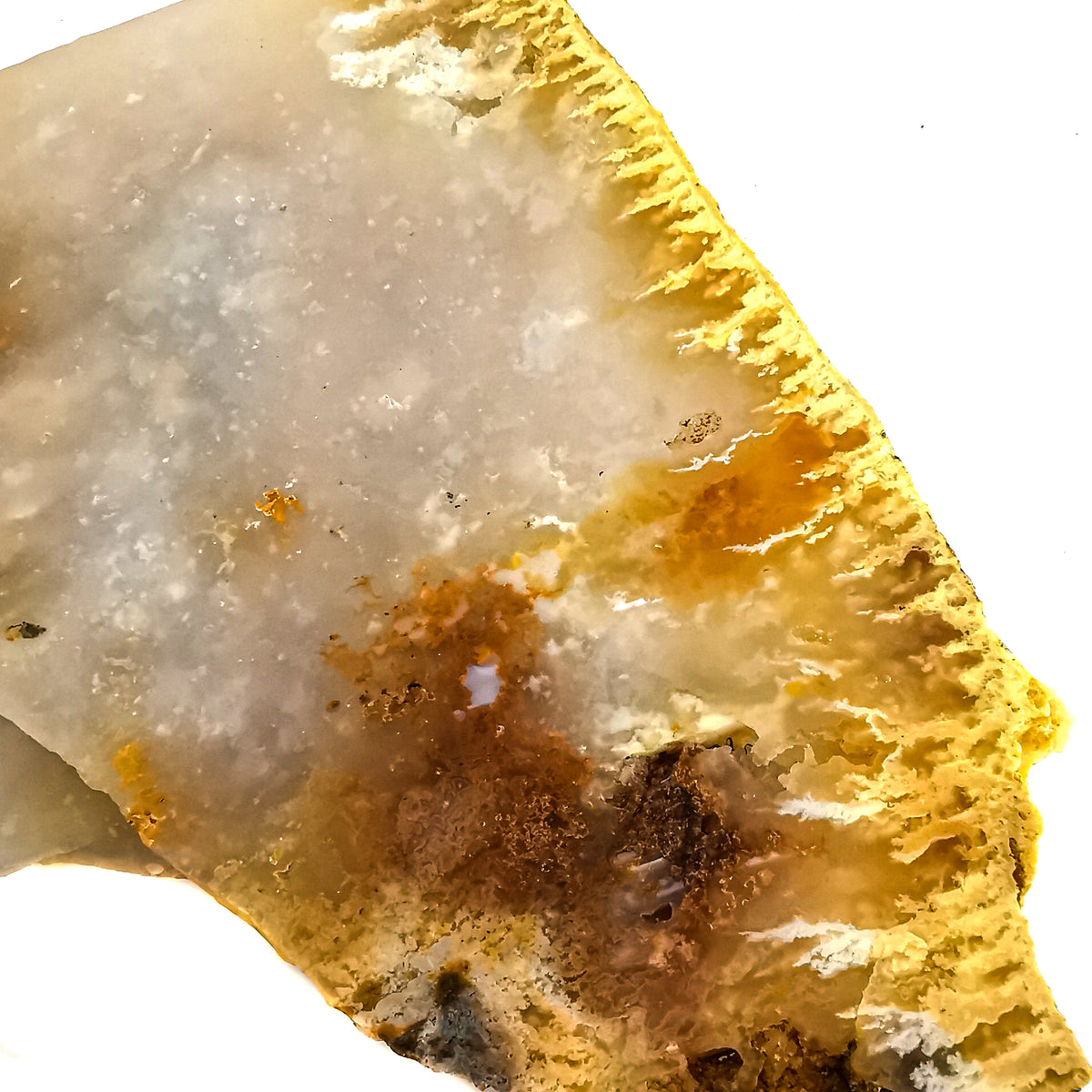Graveyard Point Plume Agate rough, a variety of chalcedony.