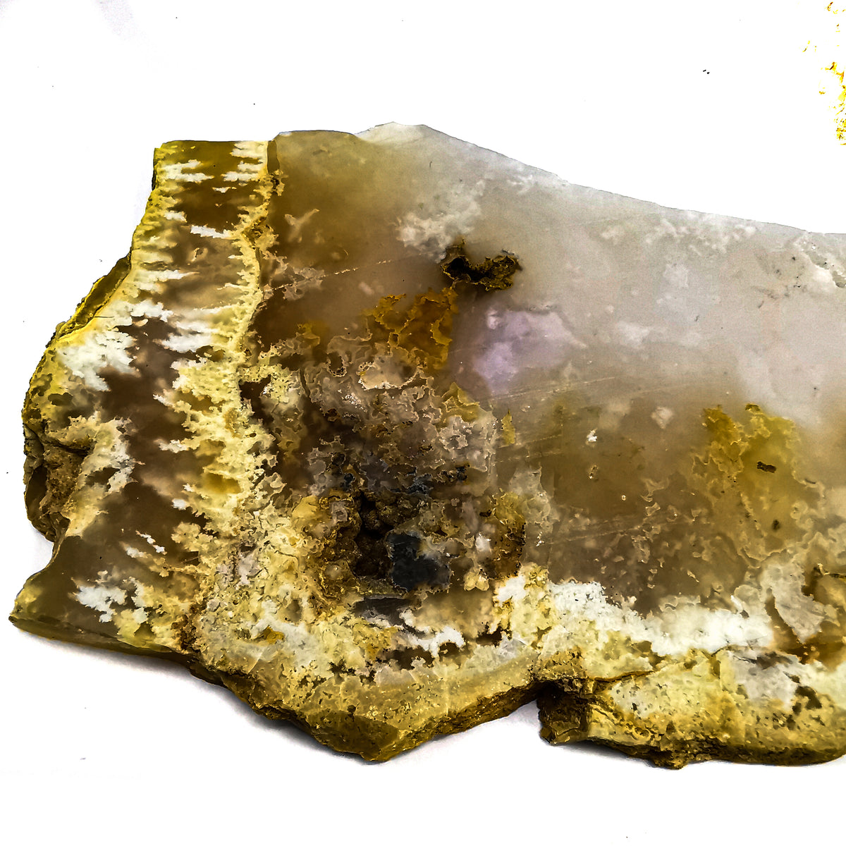 Graveyard Point Plume Agate rough, a variety of chalcedony.