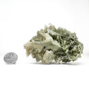 Green Halite - Mineral Specimen