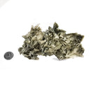 Green Halite - Mineral Specimen