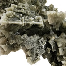 Green Halite - Mineral Specimen