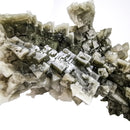 Green Halite - Mineral Specimen