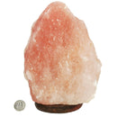 喜马拉雅盐 - 灯