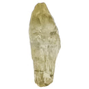 赫利奥多 - 标本