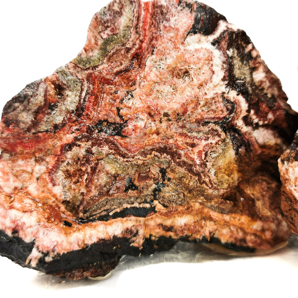 Hematite Lace rough, an iron oxide, from Arizona, USA.