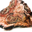 赤铁矿蕾丝 - 粗糙