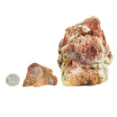 Howardite (Rattlesnake Jasper) - Rough