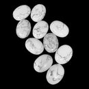 Howlite - Palm Stone