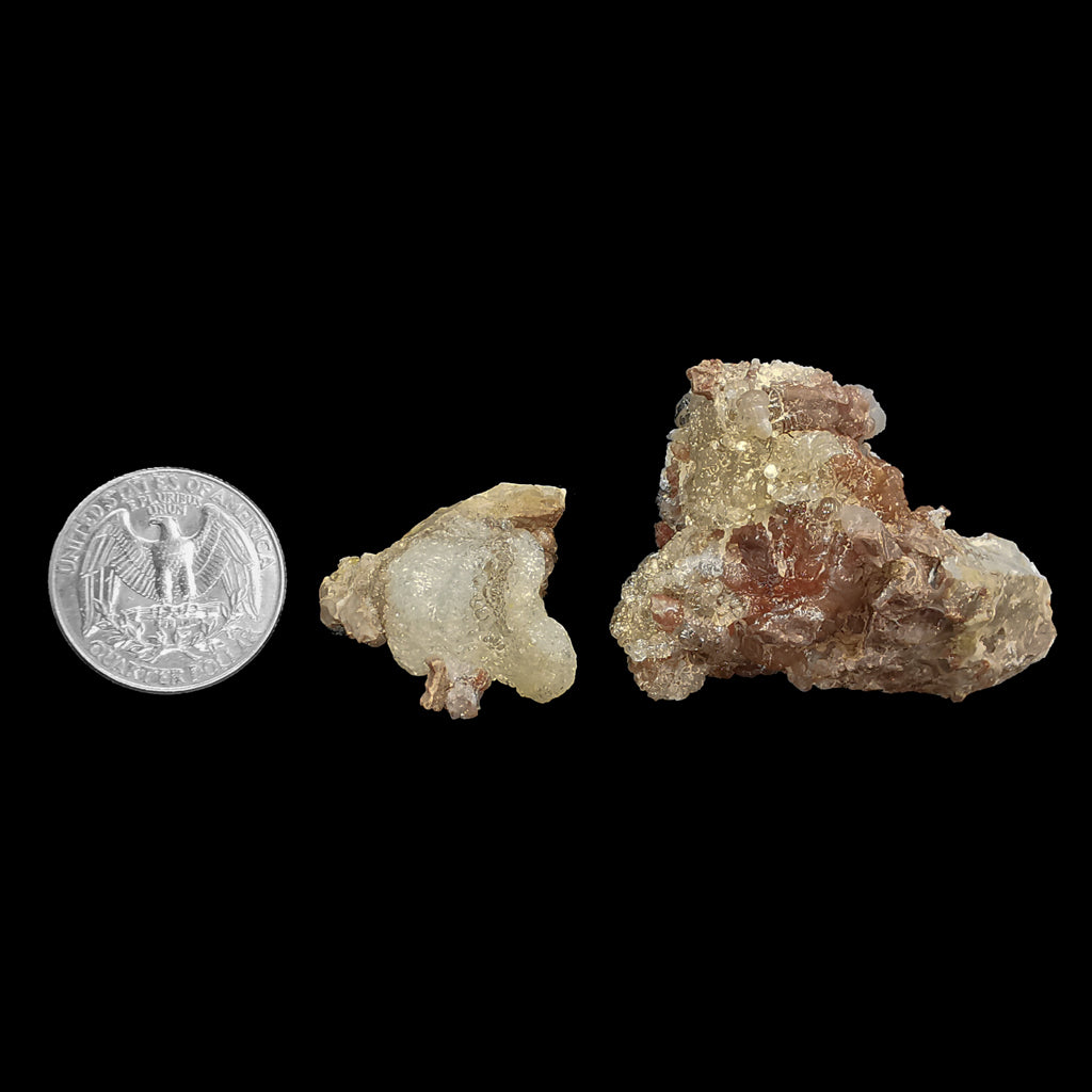 Hyalite opal, Hungary: two pieces beside a coin for scale