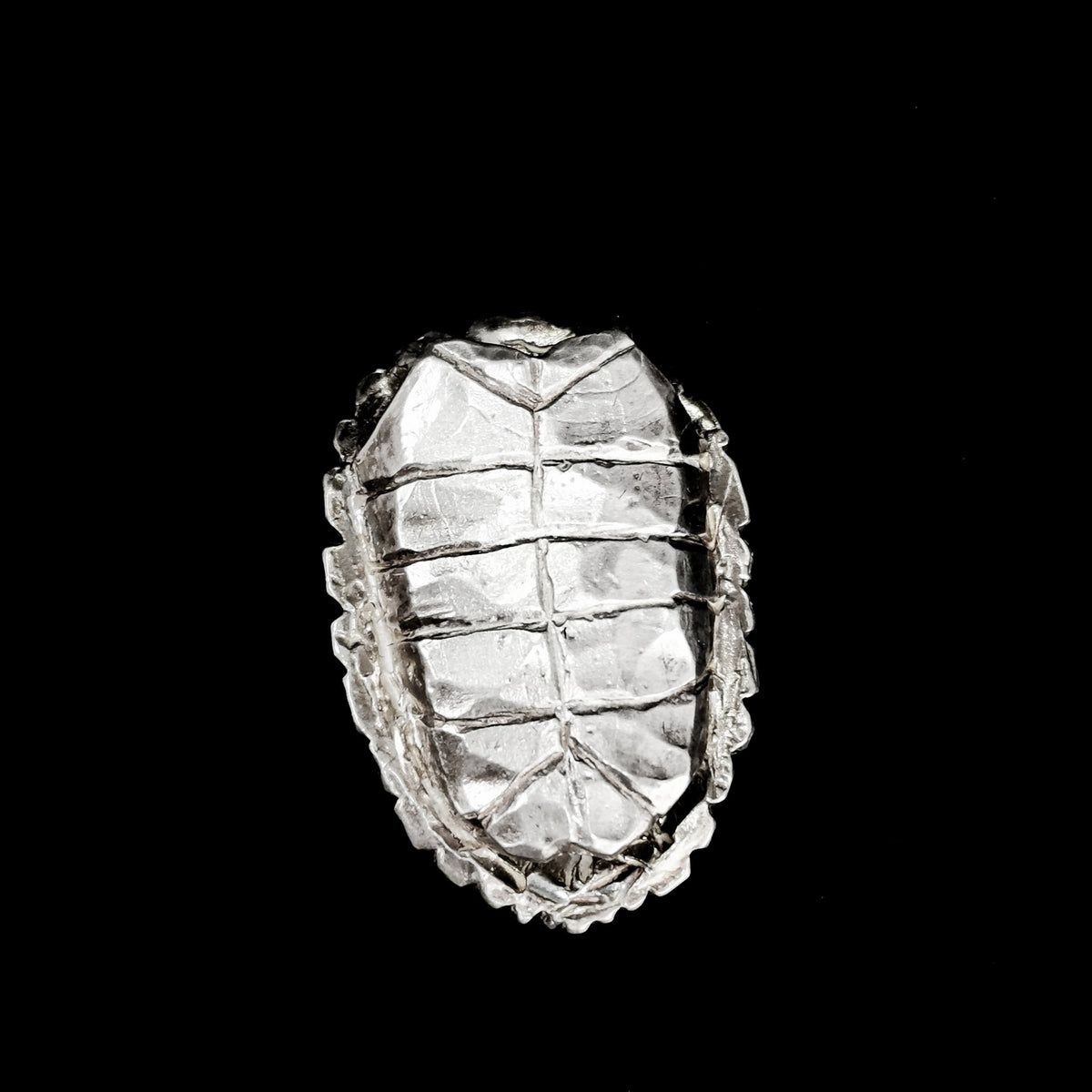 Turtle Shell pendant in oxidized silver.