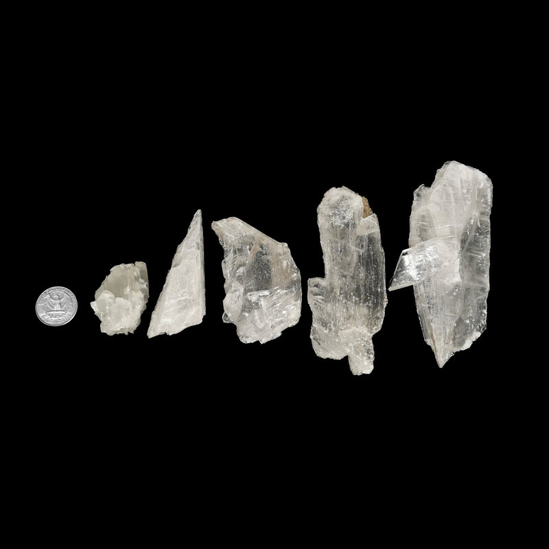 Iceberg Selenite - Mineral