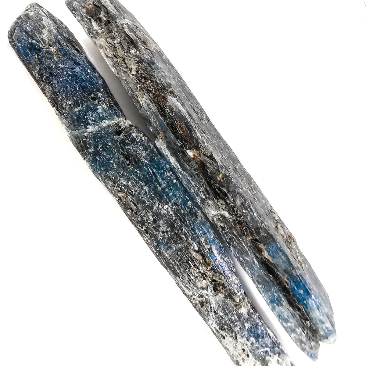 Gem Kyanite Blades specimen.