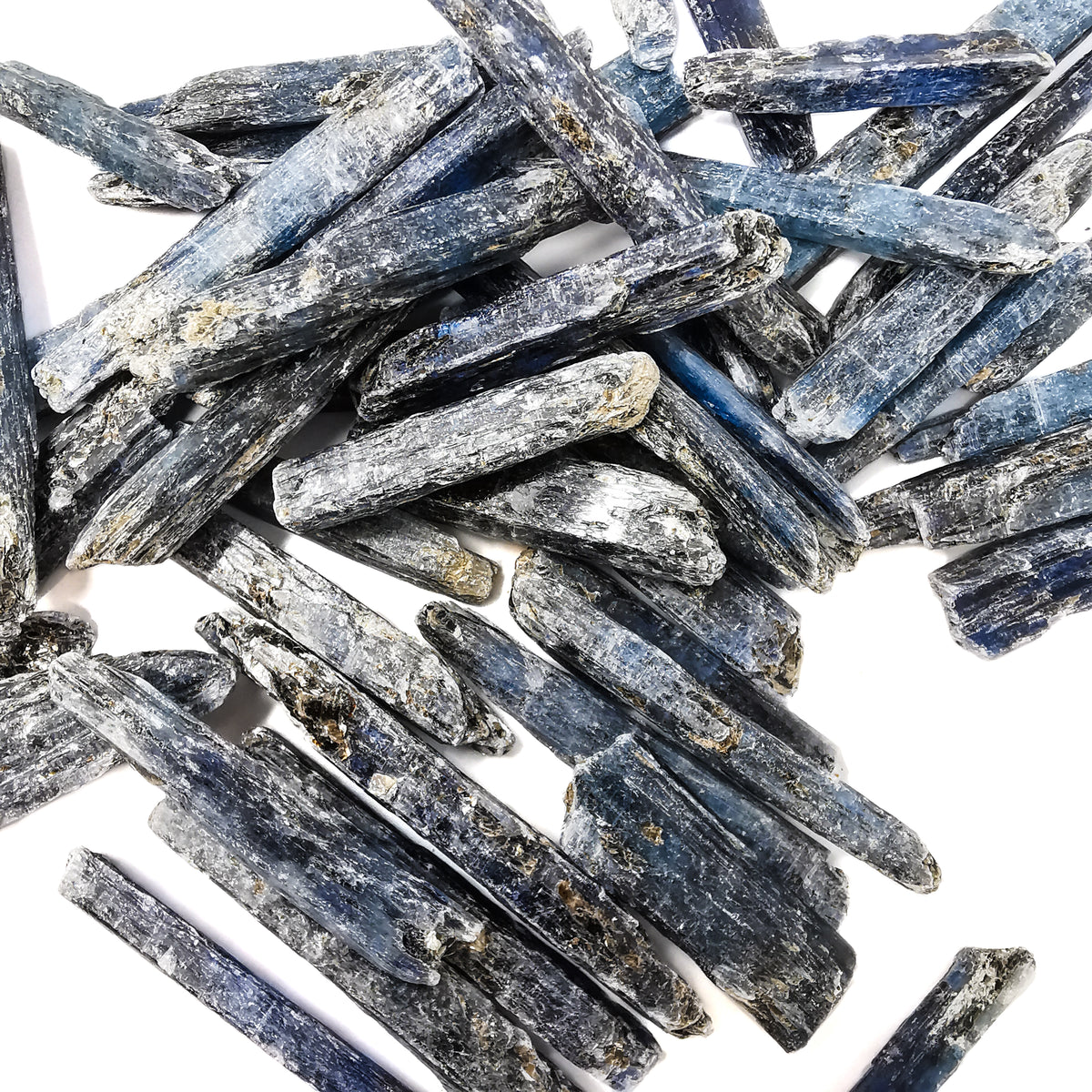 Gem Kyanite Blades specimen.