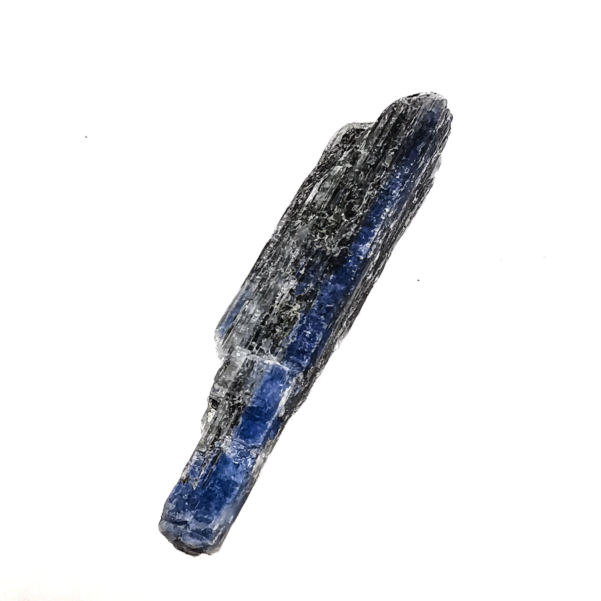 Gem Kyanite Blades specimen.