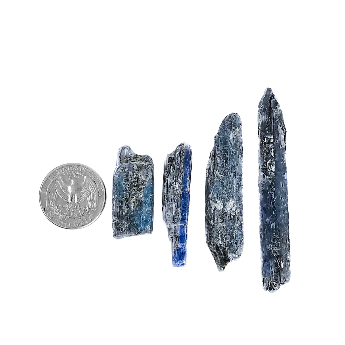 Gem Kyanite Blades specimen.