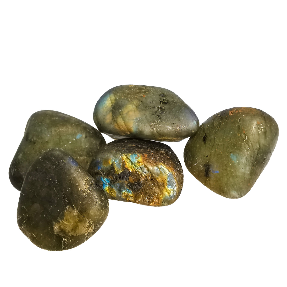 Labradorite matte tumble, a feldspar, from Madagascar.