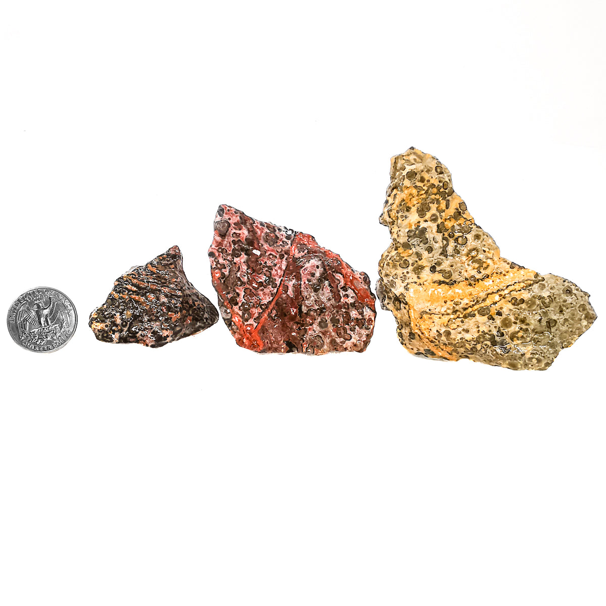 Leopard Skin Jasper rough.