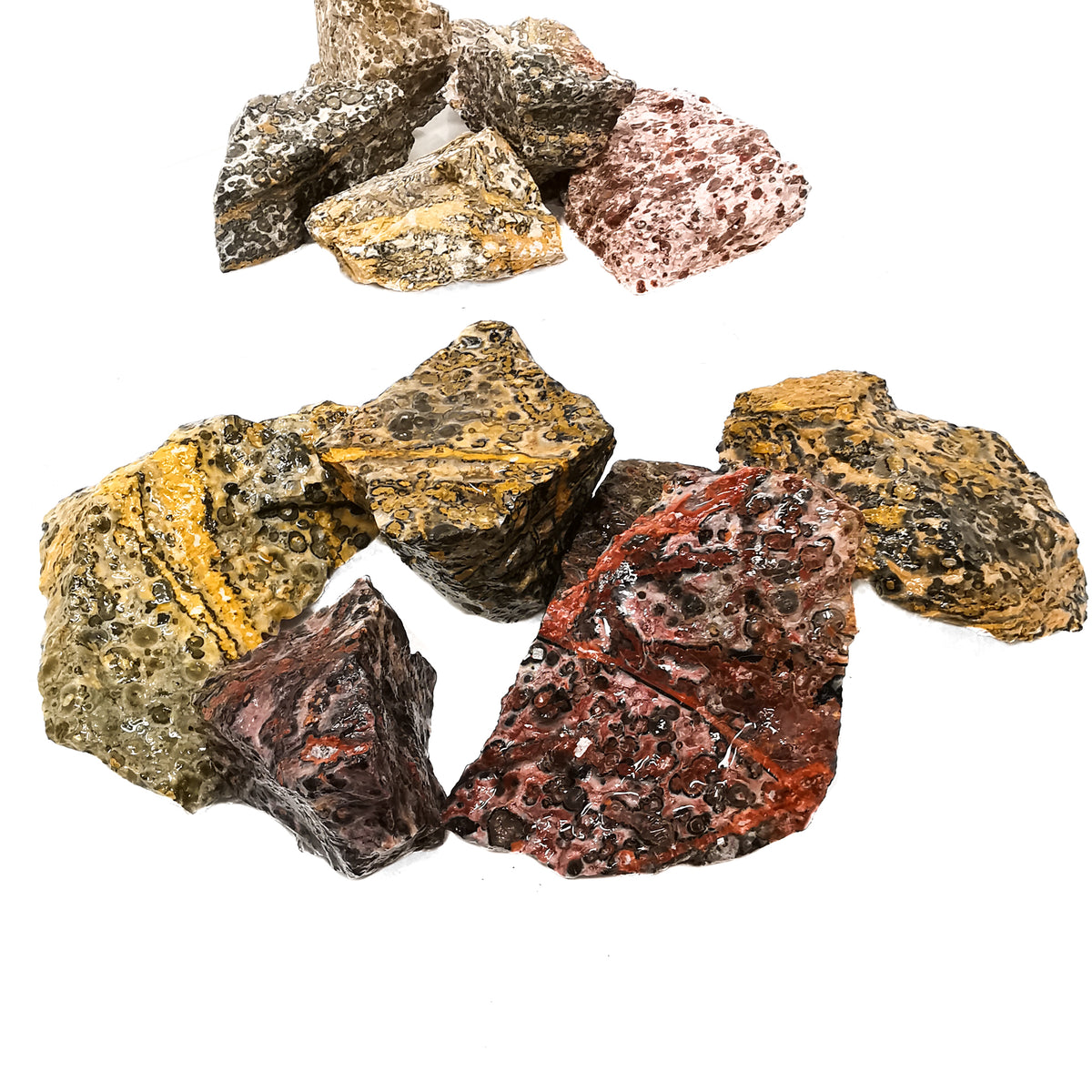 Leopard Skin Jasper rough.