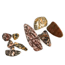 Leopardskin Jasper - Tumble