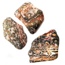 Leopardskin Jasper - Tumble