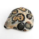 Leopardskin Jasper - Tumble