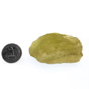 Libyan Desert Glass - Mineral Specimen
