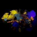 长波荧光矿物质包