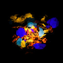 长波荧光矿物质包