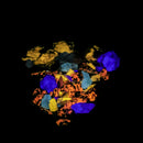 长波荧光矿物质包