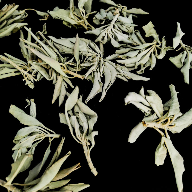 White Sage Loose - Incense