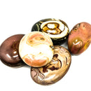Chrome Jasper - Palm Stone